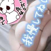 ヒメ日記 2026/03/26 09:54 投稿 るあ ちゃんこ大阪伊丹空港豊中店