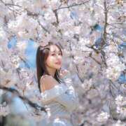 ヒメ日記 2026/04/05 18:15 投稿 めみ ドンファン