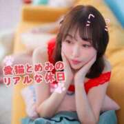 ヒメ日記 2026/10/20 22:06 投稿 めみ ドンファン