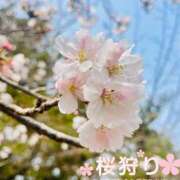 ヒメ日記 2026/03/29 14:38 投稿 神崎 れお ユニティ神戸西・明石 人妻熟女