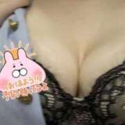 ヒメ日記 2026/04/29 16:25 投稿 桜井　あんり モデルコレクション 五反田店