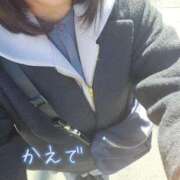 ヒメ日記 2026/03/21 07:15 投稿 かえで あとりえ(ATELIER)