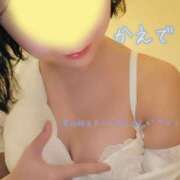 ヒメ日記 2026/03/27 18:15 投稿 かえで あとりえ(ATELIER)