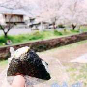 ヒメ日記 2026/03/29 07:15 投稿 かえで あとりえ(ATELIER)