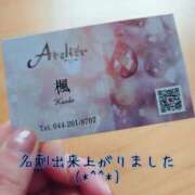 ヒメ日記 2026/04/02 12:35 投稿 かえで あとりえ(ATELIER)