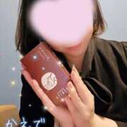 ヒメ日記 2026/04/13 19:45 投稿 かえで あとりえ(ATELIER)