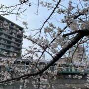 ヒメ日記 2026/03/29 23:14 投稿 加賀 熟女の風俗最終章 横浜本店