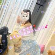 ヒメ日記 2026/03/16 21:07 投稿 ルカ CANDY　BELOVED