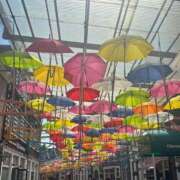 ヒメ日記 2026/03/19 23:58 投稿 らむね 渋谷じゃっくす