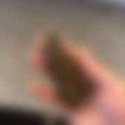 ヒメ日記 2026/03/26 21:15 投稿 らて 排泄マニア