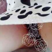 ヒメ日記 2025/07/24 23:39 投稿 こはる 逢って30秒で即尺