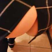 ヒメ日記 2026/03/06 09:40 投稿 こはる 逢って30秒で即尺