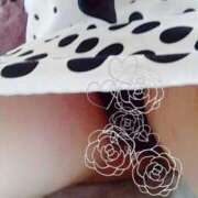 ヒメ日記 2026/03/20 09:45 投稿 こはる 逢って30秒で即尺