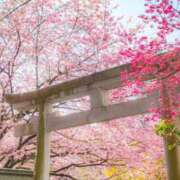 ヒメ日記 2026/03/16 12:06 投稿 れんげ 丸妻 厚木店