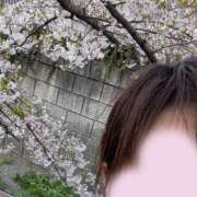 ヒメ日記 2026/04/03 22:30 投稿 夏原みく セカンドパートナー本店