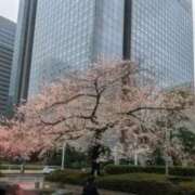 ヒメ日記 2026/04/10 18:15 投稿 夏原みく セカンドパートナー本店