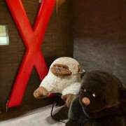 ルビィ カルティニゴリラ 煌き -KIRAMEKI-（煌きグループ）