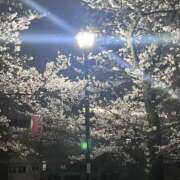 ヒメ日記 2026/03/29 14:32 投稿 とわ ぽちゃドル学園