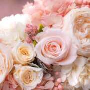 ヒメ日記 2026/03/17 13:55 投稿 れい 花嫁気分相馬・南相馬店