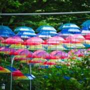 ヒメ日記 2026/03/26 10:55 投稿 れい 花嫁気分相馬・南相馬店