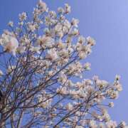 ヒメ日記 2026/03/26 11:15 投稿 れい 花嫁気分相馬・南相馬店