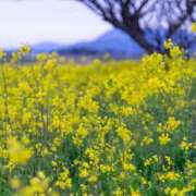 ヒメ日記 2026/03/26 12:35 投稿 れい 花嫁気分相馬・南相馬店