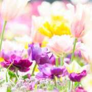 ヒメ日記 2026/04/15 10:05 投稿 れい 花嫁気分相馬・南相馬店