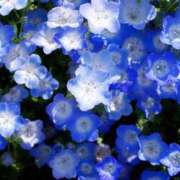 ヒメ日記 2026/04/16 08:55 投稿 れい 花嫁気分相馬・南相馬店