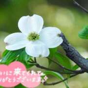 ヒメ日記 2026/04/23 09:45 投稿 れい 花嫁気分相馬・南相馬店