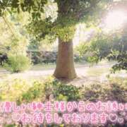 ヒメ日記 2026/05/15 14:15 投稿 れい 花嫁気分相馬・南相馬店