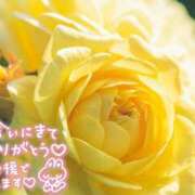 ヒメ日記 2026/05/16 10:40 投稿 れい 花嫁気分相馬・南相馬店
