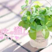 ヒメ日記 2026/05/16 11:30 投稿 れい 花嫁気分相馬・南相馬店