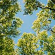 ヒメ日記 2026/05/17 10:10 投稿 れい 花嫁気分相馬・南相馬店