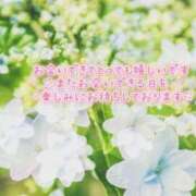 ヒメ日記 2026/05/31 09:30 投稿 れい 花嫁気分相馬・南相馬店