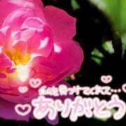 ヒメ日記 2026/05/31 22:30 投稿 れい 花嫁気分相馬・南相馬店