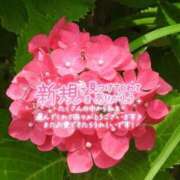 ヒメ日記 2026/06/01 23:10 投稿 れい 花嫁気分相馬・南相馬店