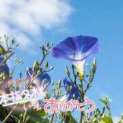 ヒメ日記 2026/07/04 11:40 投稿 れい 花嫁気分相馬・南相馬店