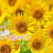 ヒメ日記 2026/07/04 12:55 投稿 れい 花嫁気分相馬・南相馬店