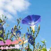 ヒメ日記 2026/07/30 12:20 投稿 れい 花嫁気分相馬・南相馬店