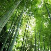 ヒメ日記 2026/09/18 12:25 投稿 れい 花嫁気分相馬・南相馬店