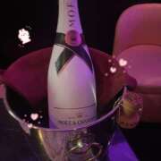 ヒメ日記 2026/03/21 01:31 投稿 みたま みつばちマーヤZ