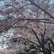 紬【ツムギ】 今日も！！🌸 輝女