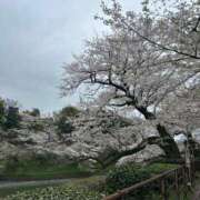 ヒメ日記 2026/04/05 16:54 投稿 紬【ツムギ】 輝女