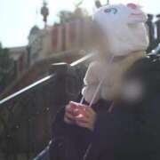 ヒメ日記 2026/04/06 20:01 投稿 紬【ツムギ】 輝女