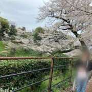 ヒメ日記 2026/04/09 22:28 投稿 紬【ツムギ】 輝女