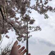 ヒメ日記 2026/03/21 18:33 投稿 新人きらら 奥様メモリアル