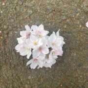 ヒメ日記 2026/03/31 06:22 投稿 なつめ デザインプリズム新宿