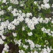 ヒメ日記 2026/04/03 06:51 投稿 なつめ デザインプリズム新宿