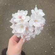 ヒメ日記 2026/04/04 06:08 投稿 なつめ デザインプリズム新宿