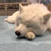 ヒメ日記 2026/04/05 01:45 投稿 なつめ デザインプリズム新宿